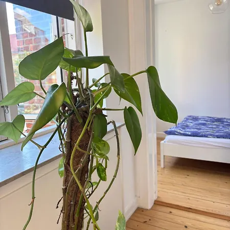 Apartman Lys Og Komfortabel Taet Pa Amager Metrostation *