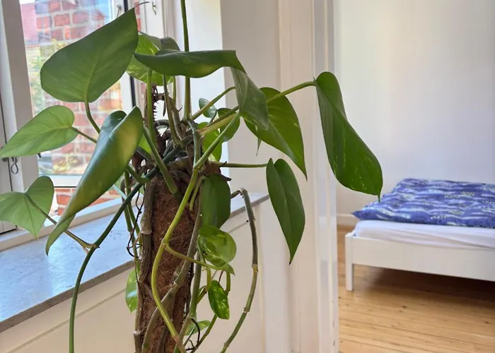 Apartment Lys Og Komfortabel Taet Pa Amager Metrostation *